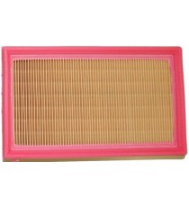 Lombardini Focs variklio oro filtras