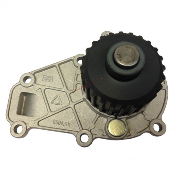 Lombardini DCI vandens siurblys Lombardini DCI variklis ( LDW 442 ir LDW 492 )