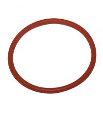 Termostatas O-žiedas Lombardini Focs ir pažanga