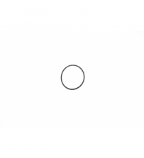 termostato tarpiklis LOMBARDINI 442 DCI/492 DCI varikliai