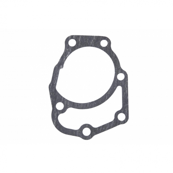 Yanmar dviejų cilindrų vandens siurblio tarpiklis