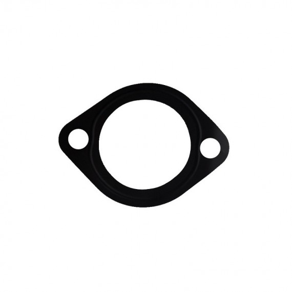 Termostato tarpiklis Kubota Aixam ( 38 mm )