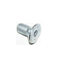 VARŽTAI AIXAM, CHATENET MEDIA STELLA DISKAMS MONTUOTI