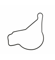 ALYVOS SIURBLIO O-ŽIEDAS LOMBARDINI FOCS/PROGRESS