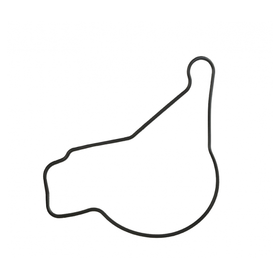 Lombardini focs progress TORIKALINIS Alyvos siurblio sandariklis LOMBARDINI FOCS/PROGRESS