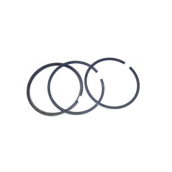 Lombardini strėlės Progress SEGMENTŲ rinkinys LOMBARDINI Focs / Progress variklis