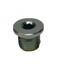 Variklio išleidimo kamštis lombardini Focs / Progress Diametre 14 mm