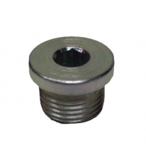 Drenažo kamštis LOMBARDINI 442 DCI/492 DCI varikliai