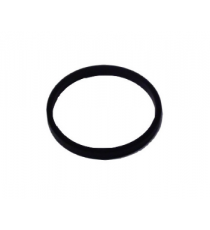 ASPIRACINIO KOLEKTORIAUS DUJOKLIAUSKAS LOMBARDINI 442 DCI/492 DCI varikliai