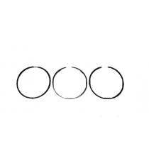 Segmentų rinkinys LOMBARDINI 442 DCI variklis