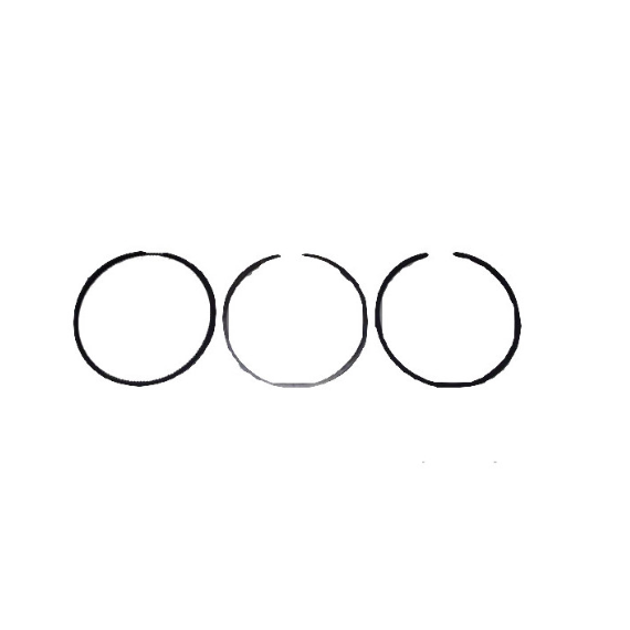 Lombardini DCI SEGMENTŲ GAMYBA LOMBARDINI 442 DCI variklis