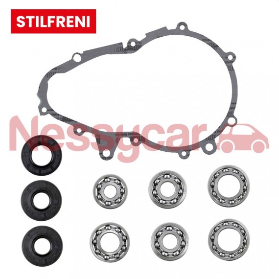 Dalis Ligier Kit reparation boite stilfreni LIGIER S/R/RS/IXO/OPTIMAX2 , MICROCAR CARGO