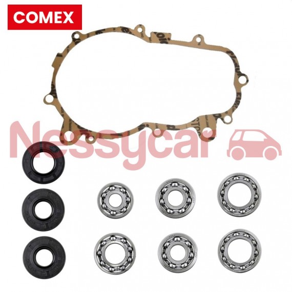 Mikromobilių pavarų dėžės komponentų RINKINYS REPARATION BOITE MICROCAR MC1 / MC