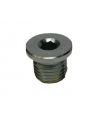 Pavarų dėžės išleidimo kamštis Microcar MC1 / MC2