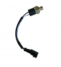 TERMOKONTAKTAS RADIJATORIUI AIXAM city, crossline, kupė, crossover (sensation, emotion range)