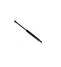 MICROCAR LYRA UŽPAKALINIŲ DURELIŲ CILINDRAS