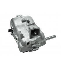 Pavarų dėžė Aixam 400 , Mega 2, 721, 741, 751, City, Roadline, Crossline, Scouty, (pritaikoma)