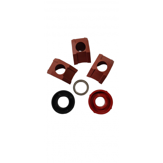 Varianto dalys VARIATORIAUS VARIATORIAUS TINKLO PRIEŽIŪROS RINKINYS PRIEŠ 2008 M.