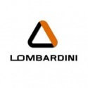 Lombardini DCI oro filtras